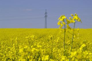 Ustawa o odnawialnych źródłach energii (5)