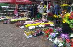 Takie kwiaty i znicze można kupić przy wrocławskich cmentarzach