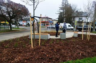 Będzie można tu odpocząć. Zobaczcie, gdzie powstały nowe zielone skwery [GALERIA]