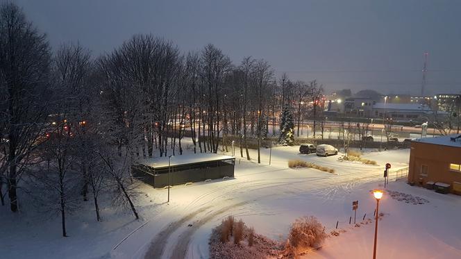 W Toruniu sypnęło śniegiem