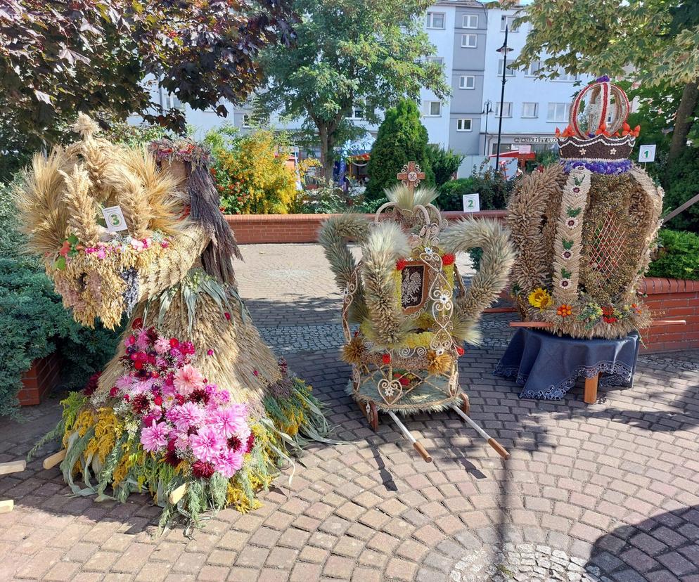 Dożynki województwa pomorskiego w Szemudzie. Szczegółowy program Pomorskiego Święta Plonów 