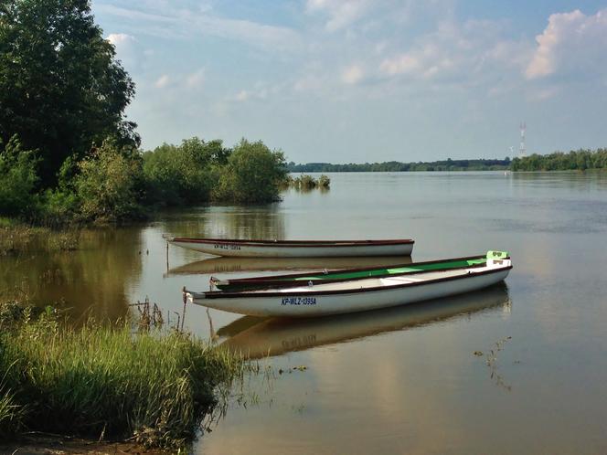 Cumujące łodzie niepodal miasta