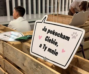 Akcja adopcyjna Fundacji Dobre Ludki w Grudziądzu