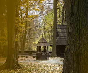 Skansen w Pszczynie obchodzi 50-lecie istnienia