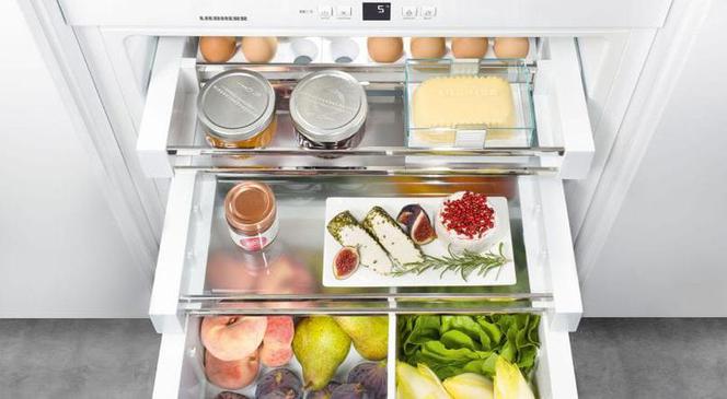 Виды Холодильников Фото