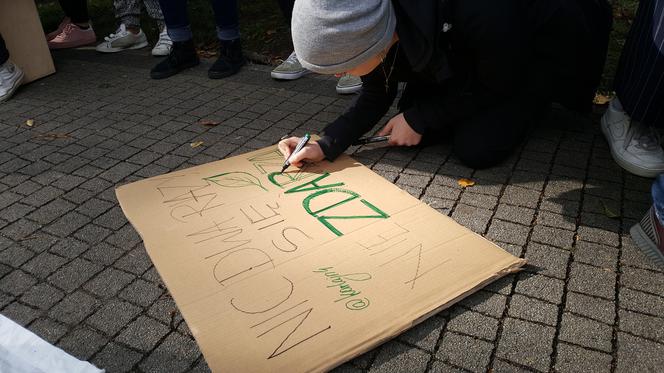 Młodzieżowy Strajk Klimatyczny w Nowym Sączu