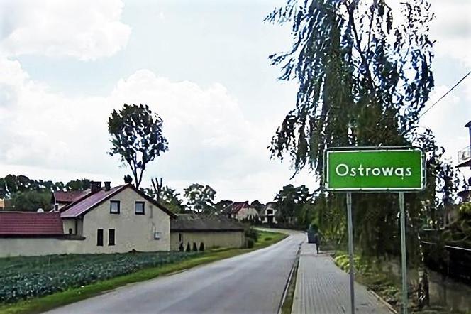 Ostrowąs