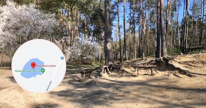 Plaża nad Jeziorem Prawym w Biskupicach