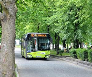 Nowy rozkład jazdy autobusów. Szczegóły