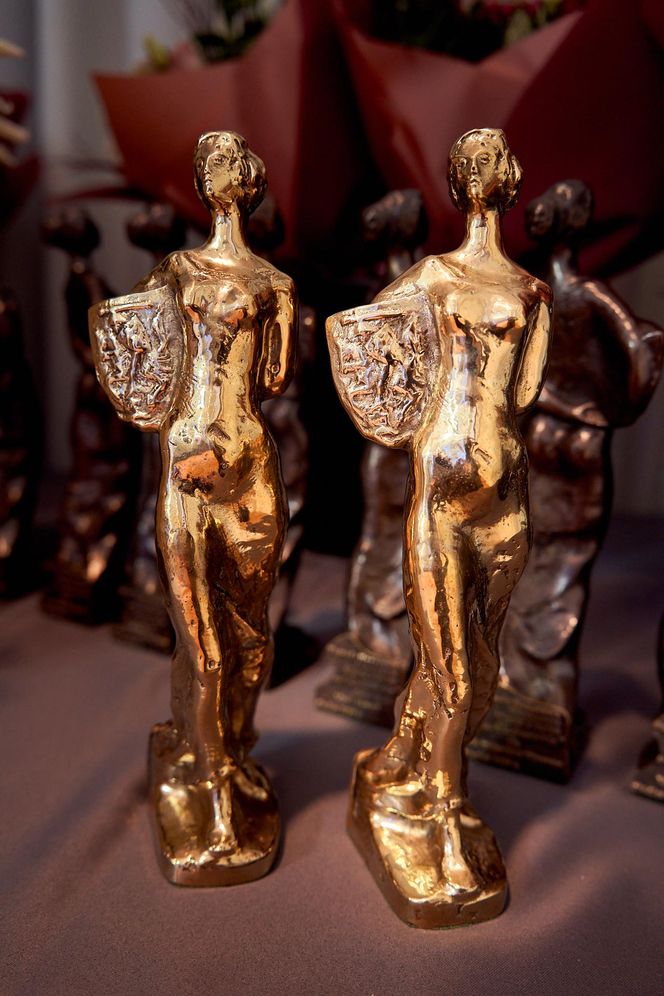 Siedleckie Aleksandrie 2025 wręczone. W tym roku przyznano dziewięć nagród