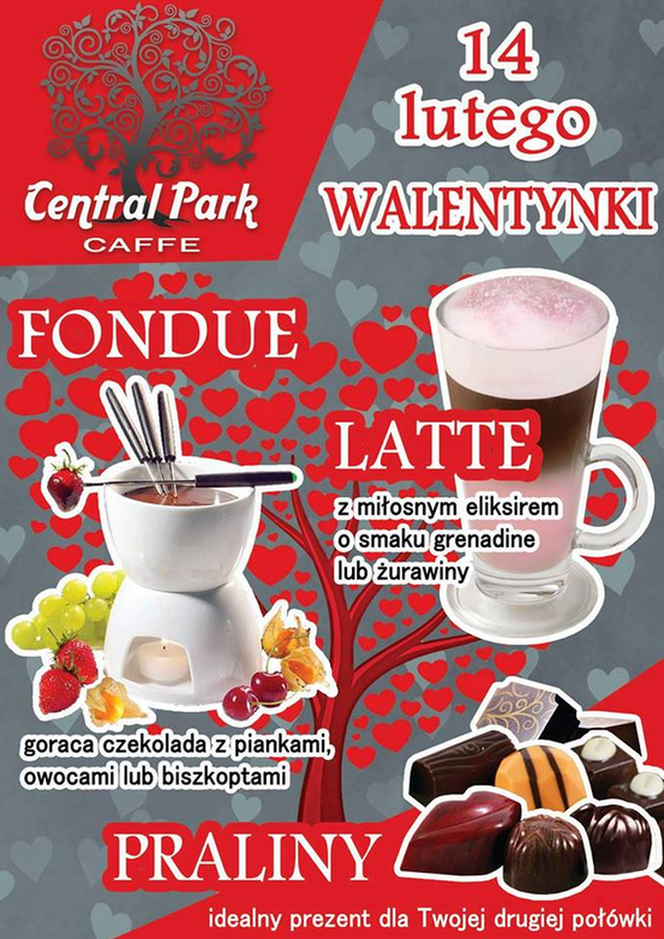 Walentynki w Central Parku