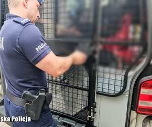 Ogólnopolska akcja policji. Tysiące funkcjonariuszy, ponad 1500 zatrzymanych. Zdjęcia z działań