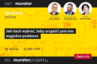 Jak w pełni wykorzystać przestrzeń poddasza i na jaki dach się zdecydować?