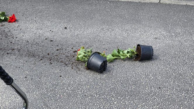 Samochód huknął w rowerzystkę! Kobieta nie przeżyła. Wszystko się nagrało