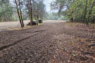 kto odpowiada za śmieci w lesi