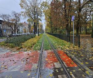 Czarna szyna to niepokojące zjawisko. Alarm dla mieszkańców Torunia