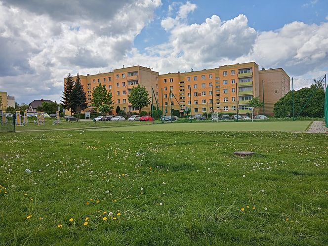 Pół boiska w Kielcach