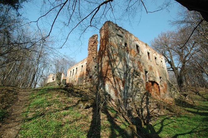 To jeden z najstarszych pałaców w Małopolsce. Mieszkańcy wsi widują w jego ruinach zjawę