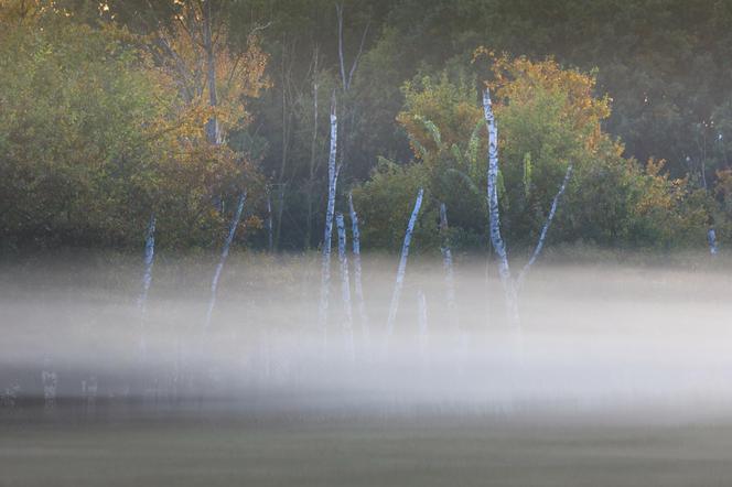 KAMPINOSKI PARK NARODOWY