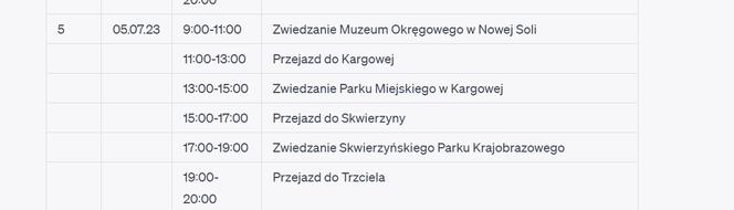 Oto jak sztuczna inteligencja zaplanowała wycieczkę po Lubuskiem
