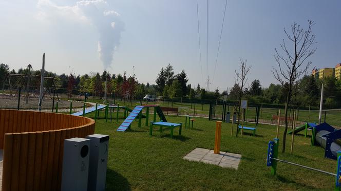Park psiej aktywności w Sosnowcu