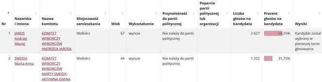 Jak głosowano w gminach powiatu piotrkowskiego? Znamy nazwiska burmistrzów i wójtów