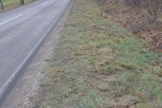 Maków Mazowiecki. Kierowca potrącił rowerzystę i uciekł. 41-latek nie żyje. Policja apeluje o pomoc