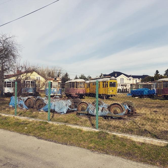 Zobacz kolekcję starych tramwajów w prywatnym ogrodzie - zdjęcia. Wagony stoją na działce w Warszawie