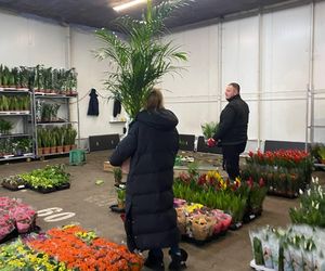 Giełda kwiatów na Balicach