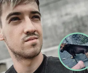 Właściciel nieprzytomny, pies nie wpuści pogotowia. Mieszkasz sam? Przeczytaj