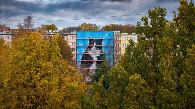 Na ul. Rugiańskiej powstaje mural z kotem Gackiem