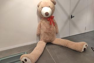 Wernisaż wystawy „Dziecko też człowiek. I radomianin.”