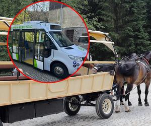 Przez elektrycznego busa koniom grozi straszna śmierć! Górale chcą je wysłać do rzeźni