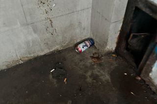 Dlaczego na Marszu Niepodległości 2024 w Warszawie tak śmierdziało? Końskie łajno to nie wszystko