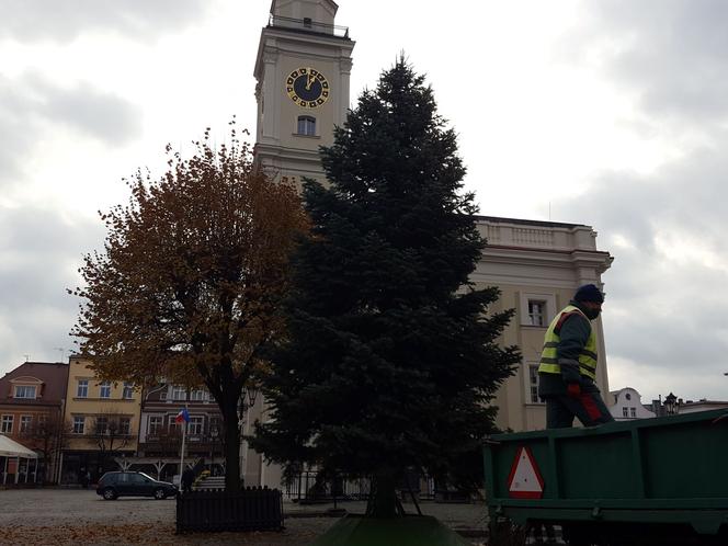 ​Leszno szykuje się na święta. Na rynku przy ratuszu stanęła choinka