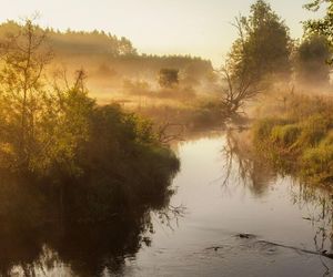 Tragiczna sytuacja w parkach narodowych na Podlasiu! Pożary mogą wybuchnąć w każdej chwili