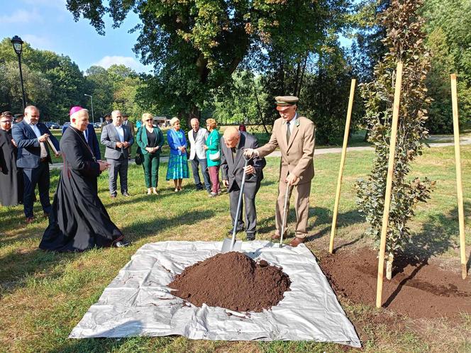 Trzy młode buki purpurowe na Skwerze Leśników Polskich wspólnie zasadzili pracownicy Nadleśnictwa Siedlce i Lasów Państwowych, władze miasta Siedlce i radni.