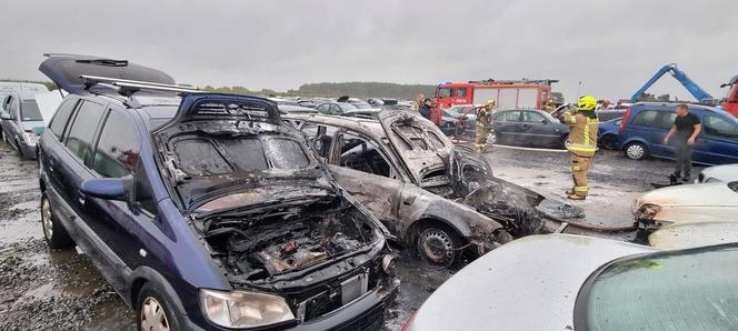 Wielkopolska: pożar na złomowisku. Auta w ogniu