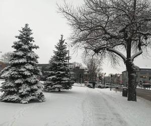 Zimowe klimaty w Siedlcach. Zobacz zdjęcia!