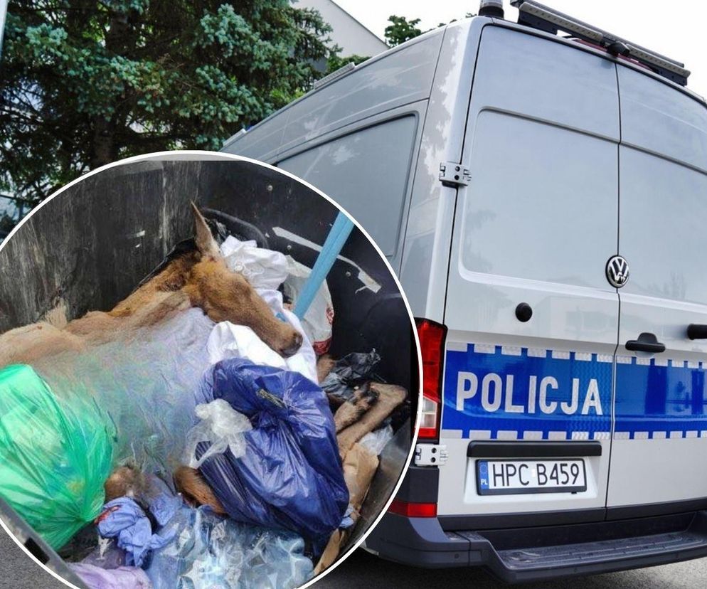 Szokujące odkrycie w śmietniku. Spółdzielnia mieszkaniowa prosi, żeby świadkowie zgłosili się na policję 