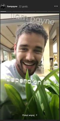 Urodziny Liama Payne na Bali