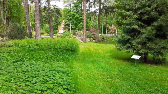 W Ogrodzie Botanicznym znajdziecie zagrożone gatunki roślin! 