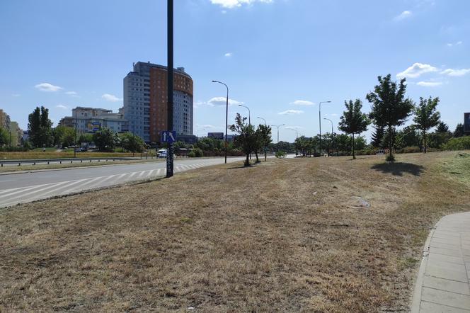 Zrobili pustynię w środku miasta. Wielkie koszenie trawy w Warszawie