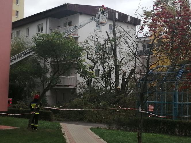 Wichura w Poznaniu. W regionie dwa tysiące interwencji strażaków