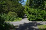 Ogród Botaniczny w Poznaniu 