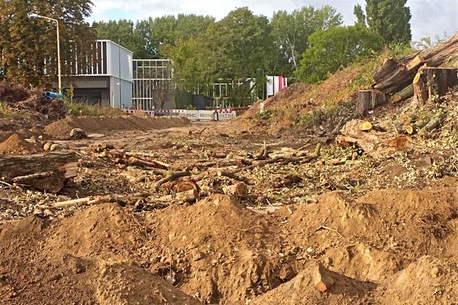 Ze skarpy przy stacji Szczecin Turzyn zniknęły drzewa
