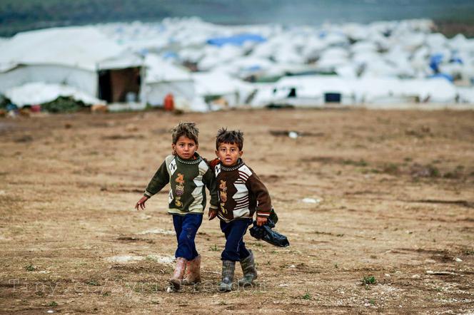 Polska może pomóc nawet 300 syryjskim rodzinom