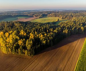 To największy kompleks leśny na Mazurach. Co krok pojawiają się malownicze jeziora