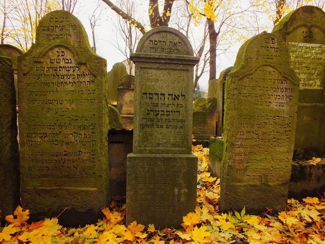 Cmentarz żydowski w Bochni 