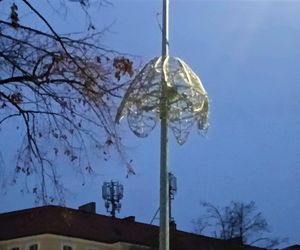 Skromne iluminacje świąteczne w Szczecinie